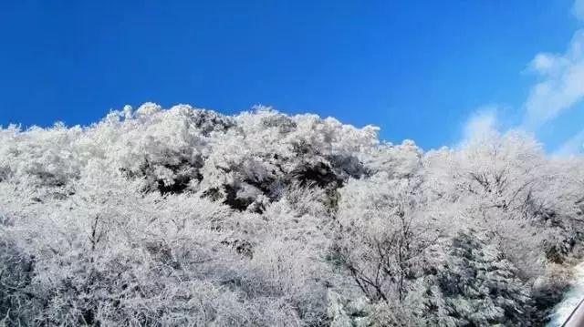 Veradigm Inc盘中异动 下午盘股价大涨5.09%报9.48美元