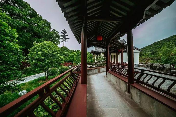 比杨洋还油,居然号称第二个胡歌:哪来的脸啊!