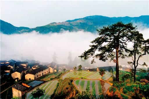 中秋节吃什么最应景？