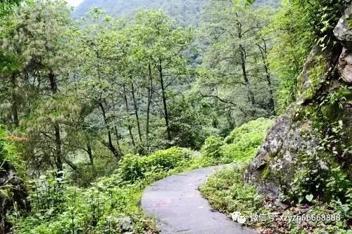 “用鞋垫的价引皮鞋的流”也是虚假宣传