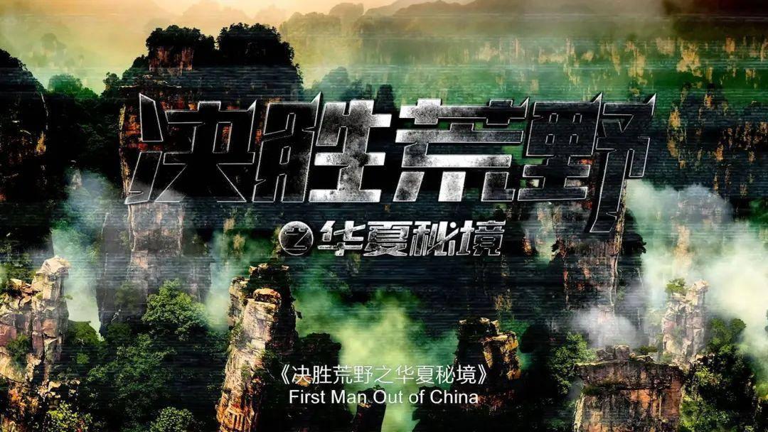 代理枪手
