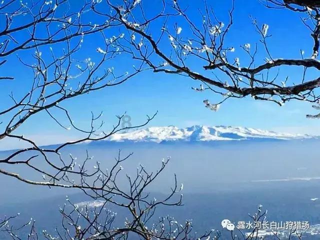 泰兴农商银行:凝心聚力谋开局 全力奋战开门红