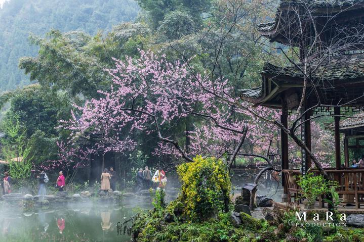 《众神派对》闫虎林啸角色图鉴