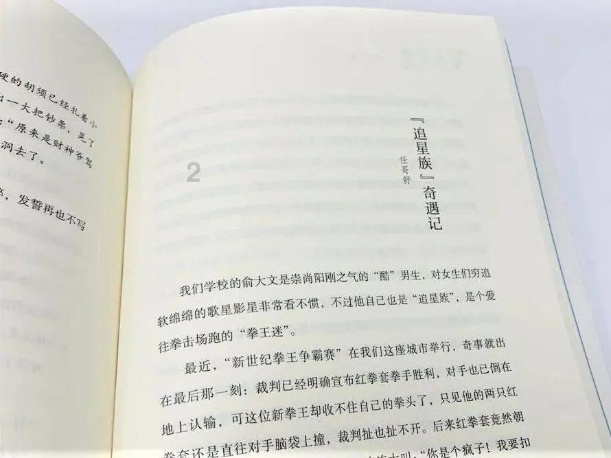 强大的狮子拼图