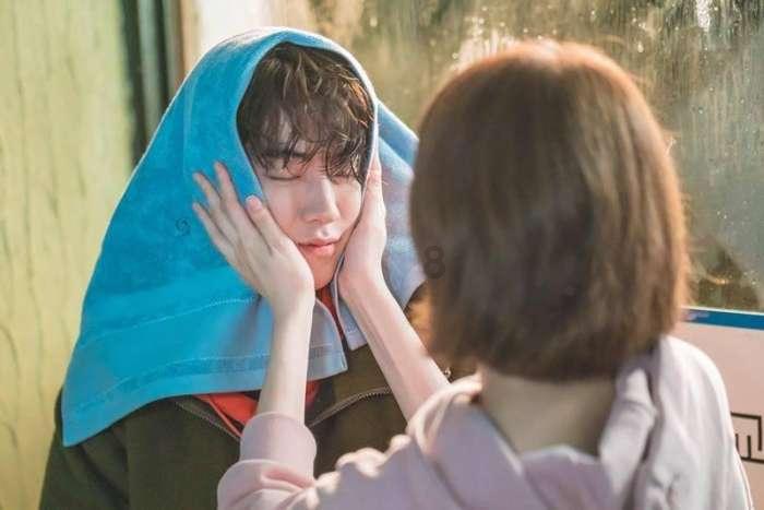 白莲花守则