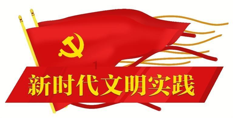细胞分裂6