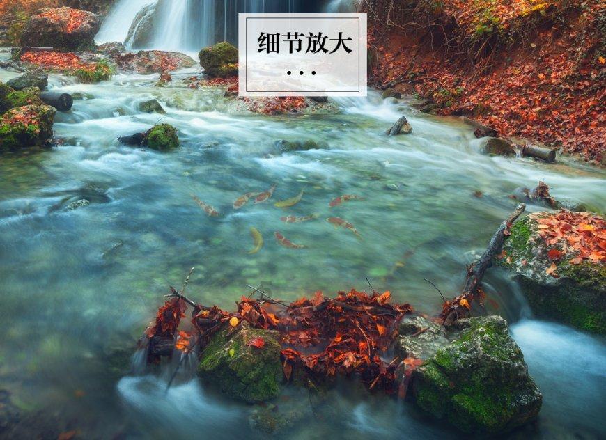 马克思主义·青年说 第2403期——承百舸争流之势，续中华民族之魂