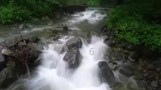 阴暗森林