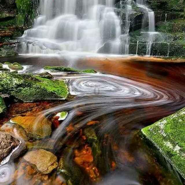 沪江开心词场