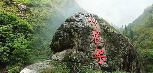 行尸走肉：米琼恩