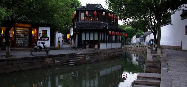 泰安东平:水鸟嬉戏,惊艳冬日时光