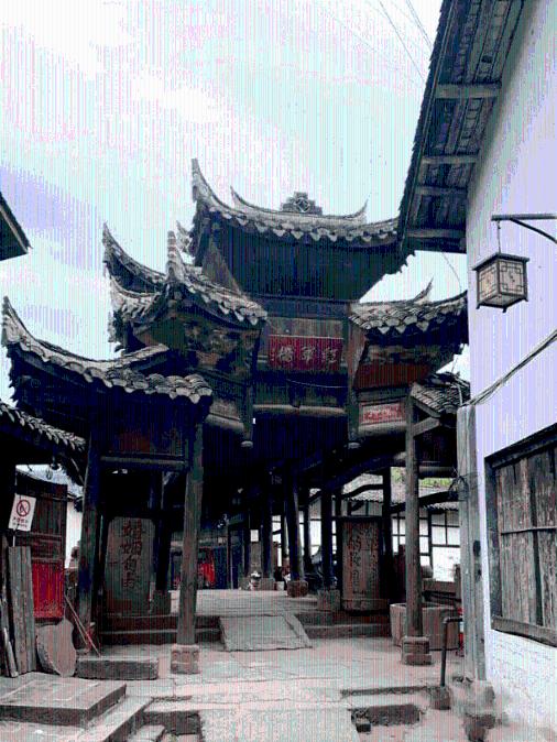春雨直播app