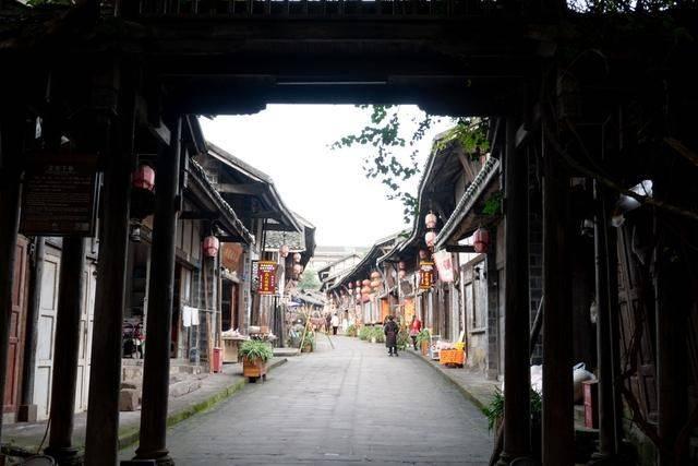 杀出重围人类分裂