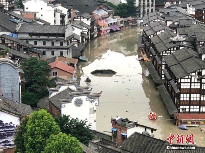 逃离金刚鹦鹉森林
