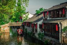 为什么那么多人学厨，厨师有那么好吗？游戏画面